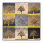 Boutique Cartes (Faire-part) 